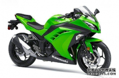<b>大只500平台官网入门级街车 2015款Kawasaki Z300</b>