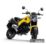 <b>大只500在线登录MSX125-最好玩的迷你摩托车</b>