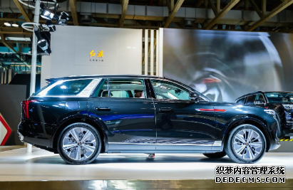 大只500摩托车, 大只500平台主管,