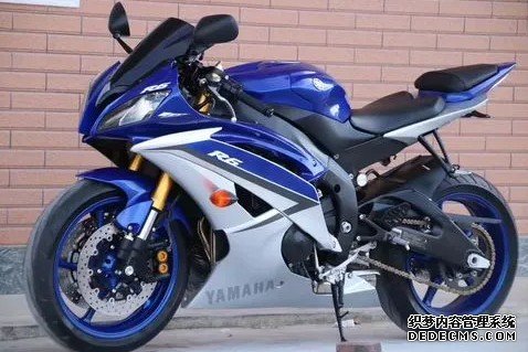 大只500主管, 大只500养殖资讯,