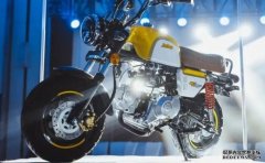 <b>大只500注册开户金城发布四款MINI车：悟空、小金</b>
